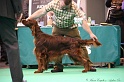 Crufts2011 815